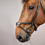 Dy'on X-Fit Bridle New English Collection - Equiluxe Tack