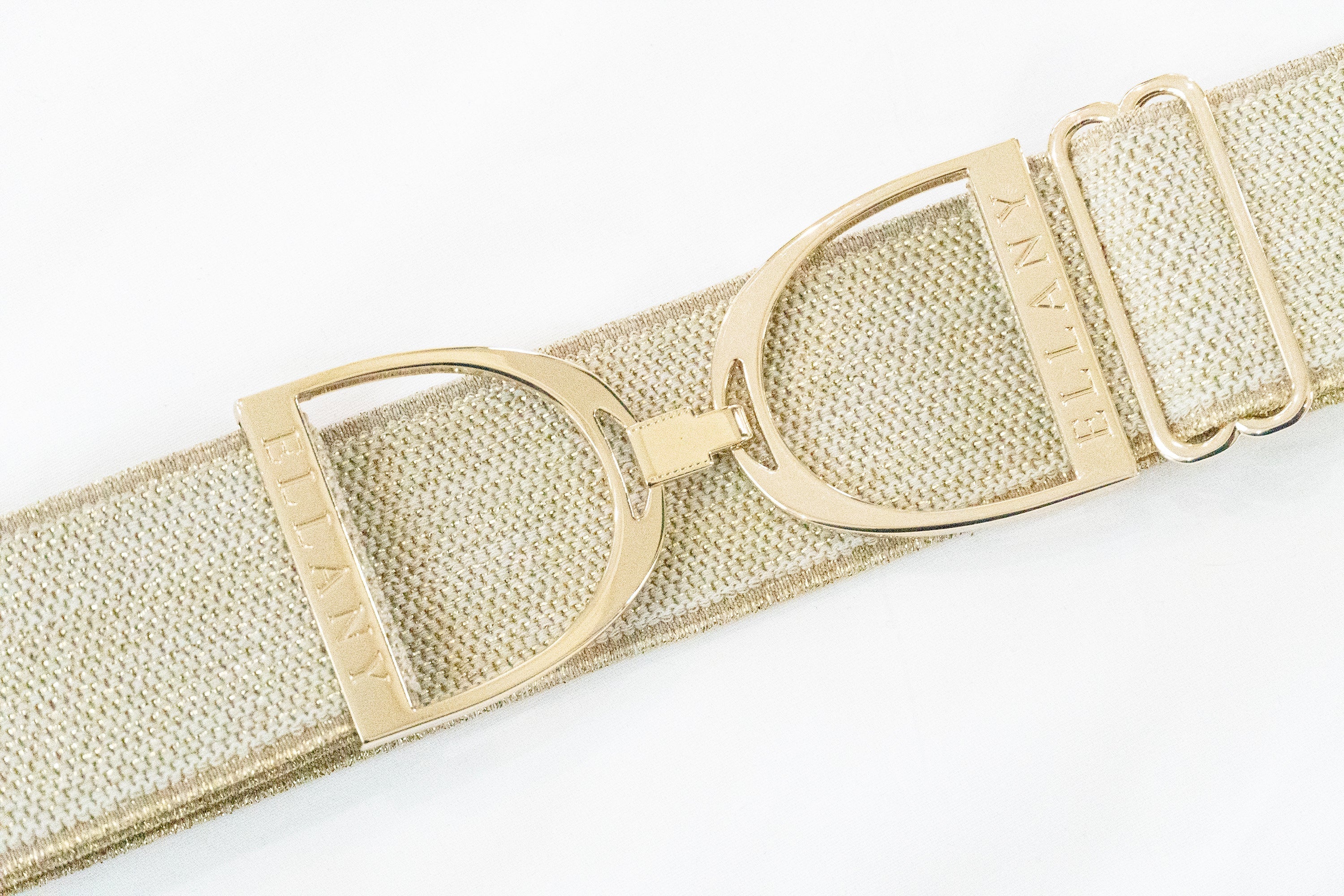 Ellany Gold Dakota - 2" Gold Stirrup Elastic Belt - Ellany - Equiluxe Tack