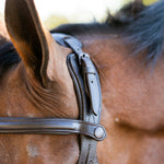 Ellany Noland Schooling Anatomical Bridle - Ellany - Equiluxe Tack