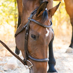 Ellany Noland Schooling Anatomical Bridle - Ellany - Equiluxe Tack