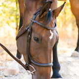 Ellany Noland Schooling Anatomical Bridle - Ellany - Equiluxe Tack