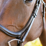 Ellany Noland Schooling Anatomical Bridle - Ellany - Equiluxe Tack