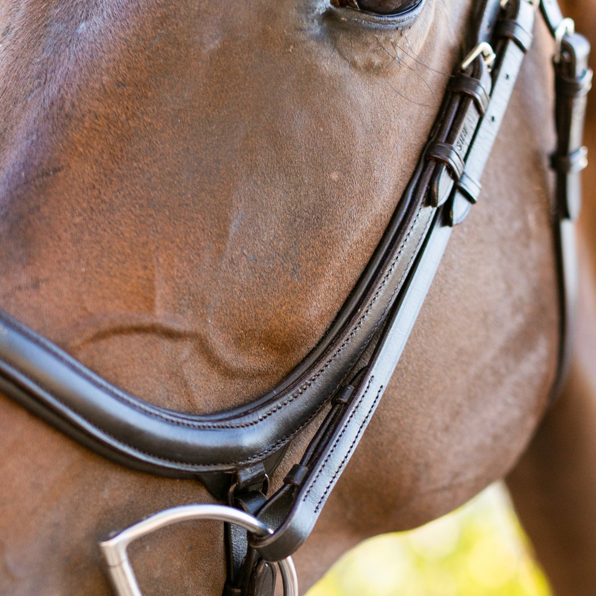 Ellany Noland Schooling Anatomical Bridle - Ellany - Equiluxe Tack