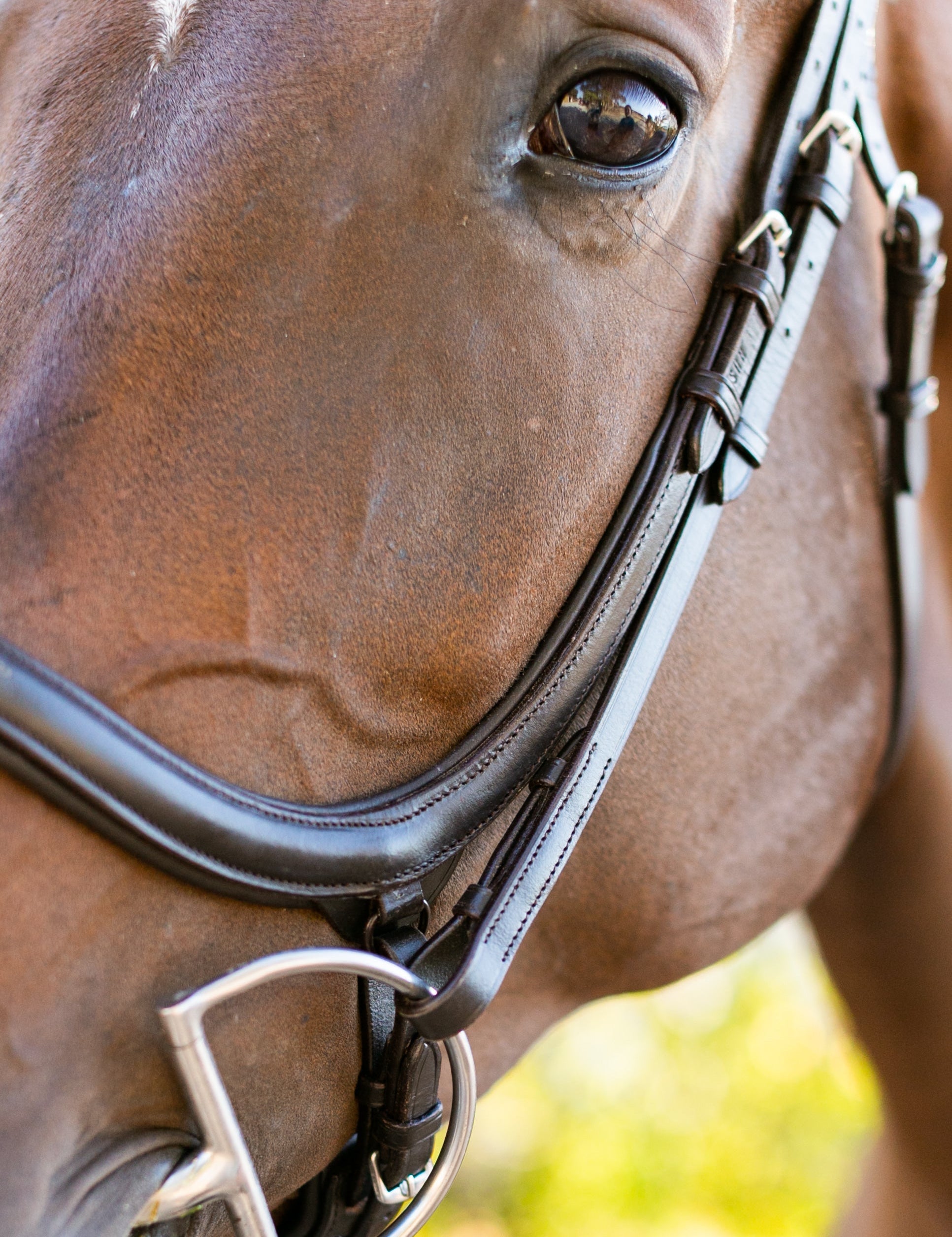 Ellany Noland Schooling Anatomical Bridle - Ellany - Equiluxe Tack