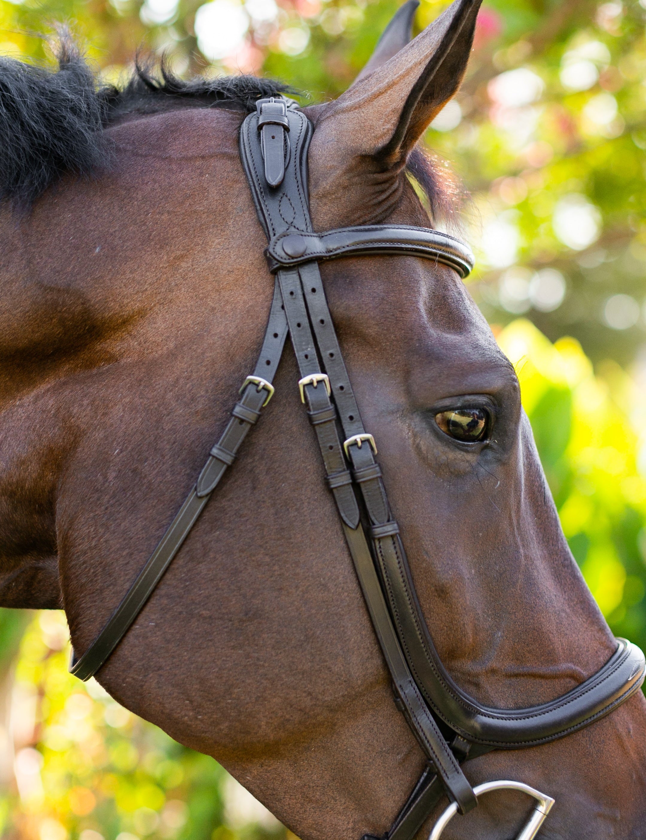 Ellany Noland Schooling Anatomical Bridle - Ellany - Equiluxe Tack