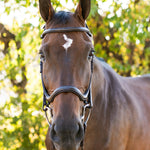 Ellany Noland Schooling Anatomical Bridle - Ellany - Equiluxe Tack