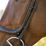 Ellany Noland Schooling Anatomical Bridle - Ellany - Equiluxe Tack