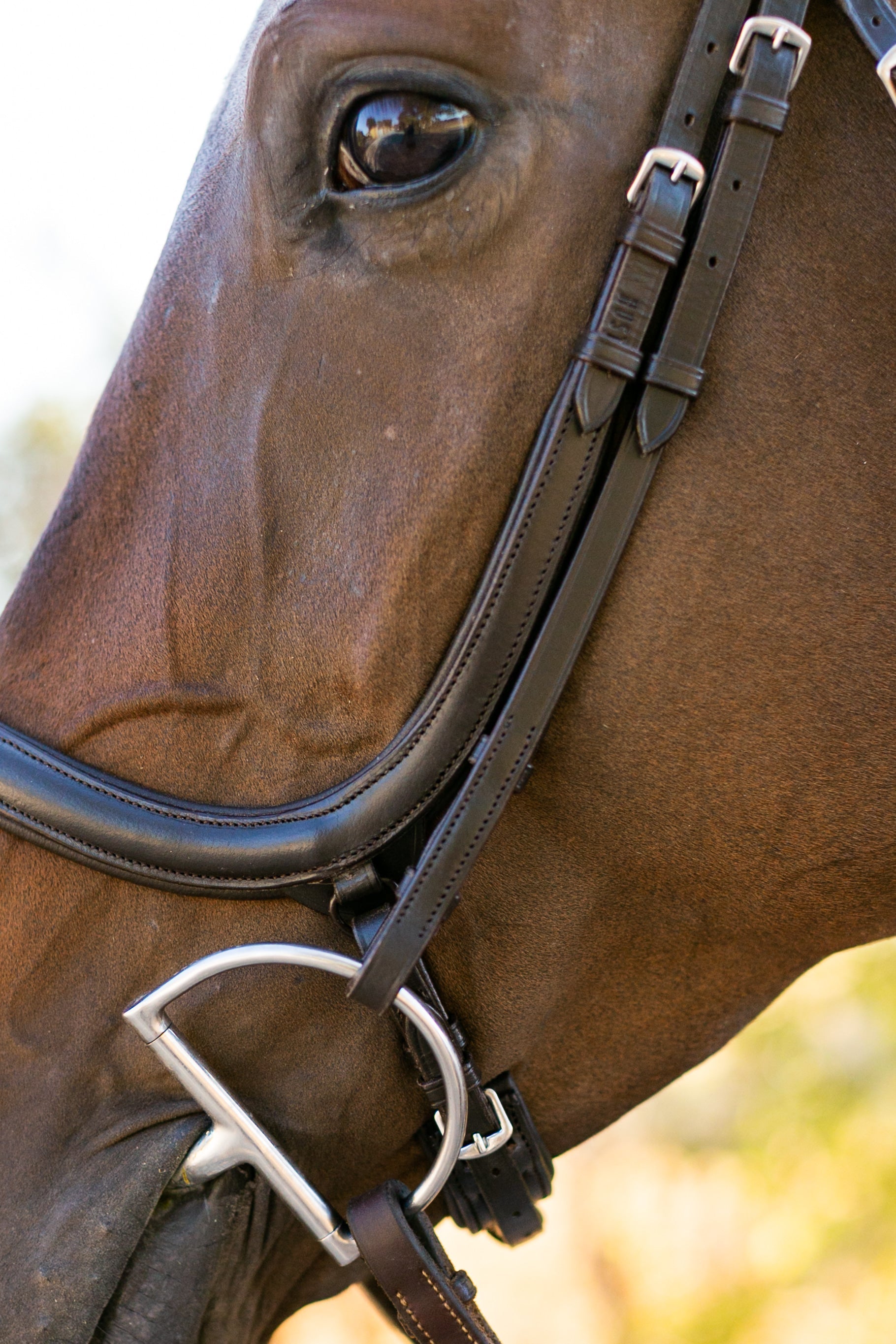 Ellany Noland Schooling Anatomical Bridle - Ellany - Equiluxe Tack