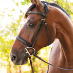 Ellany Noland Schooling Hunter Bridle - Ellany - Equiluxe Tack