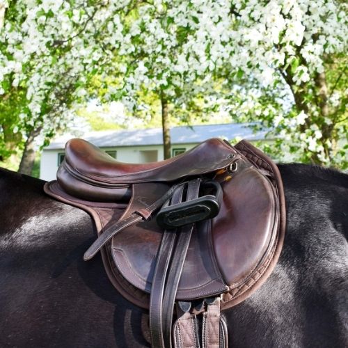 English Wither - Relief Saddle Pad - Equiluxe Tack - Equiluxe Tack