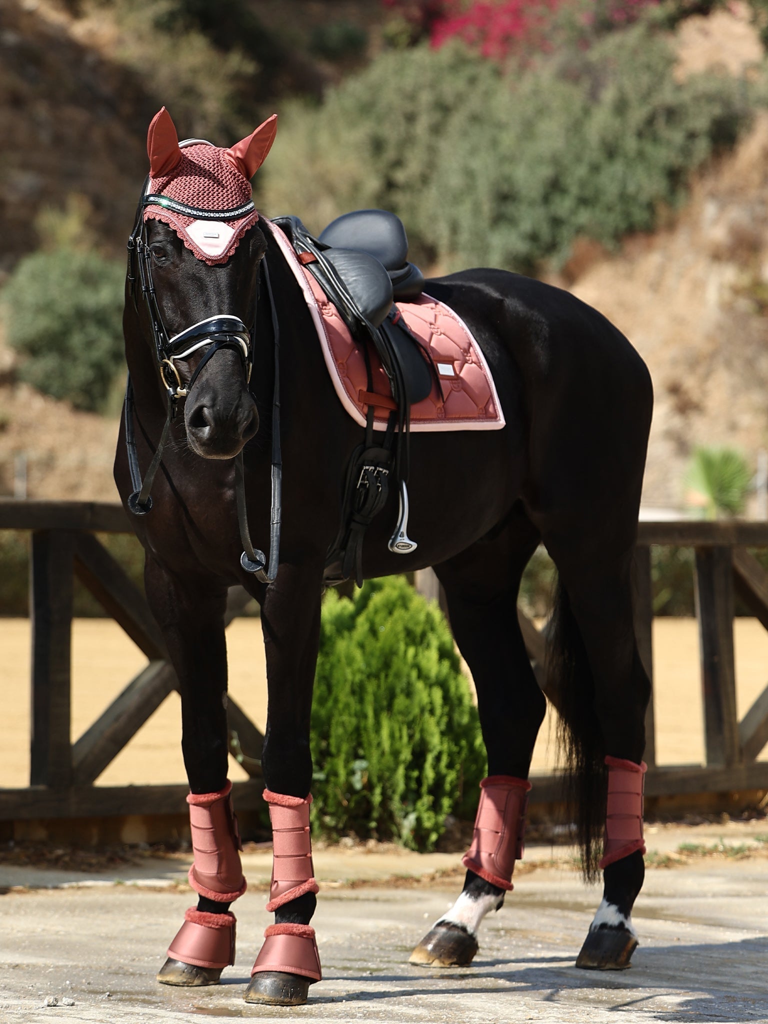 Equestrian Stockholm Dressage Saddle Pad Amber Rose - Equestrian Stockholm - Equiluxe Tack