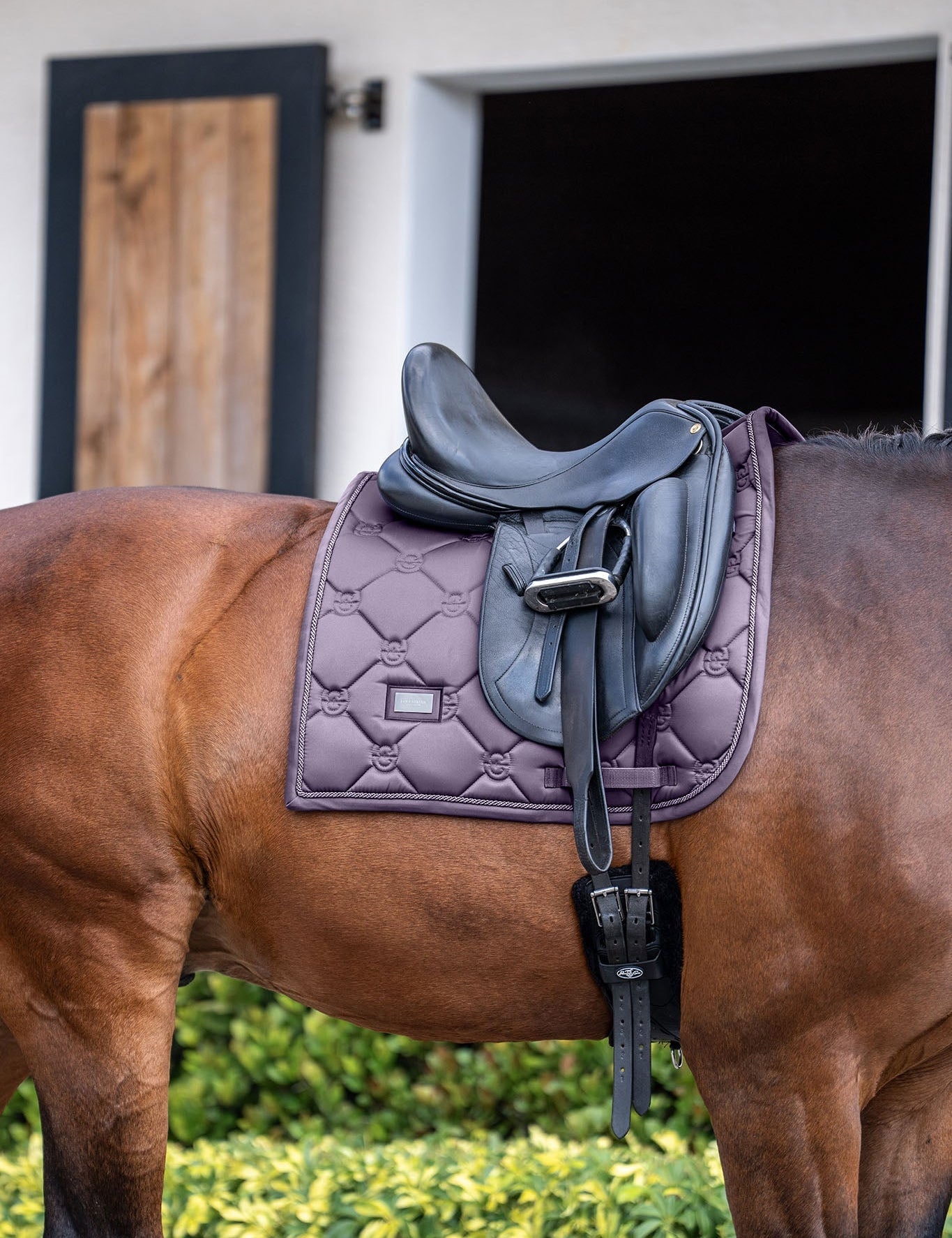 Equestrian Stockholm Dressage Saddle Pad Dark Violet - Equestrian Stockholm - Equiluxe Tack
