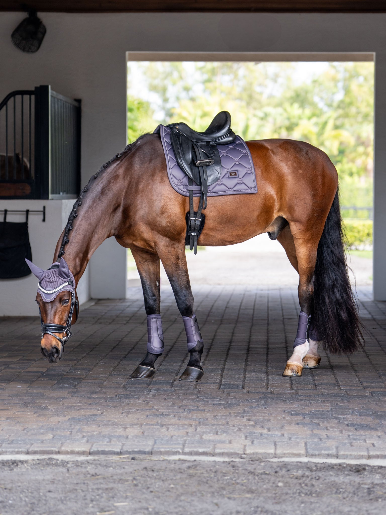 Equestrian Stockholm Dressage Saddle Pad Dark Violet - Equestrian Stockholm - Equiluxe Tack