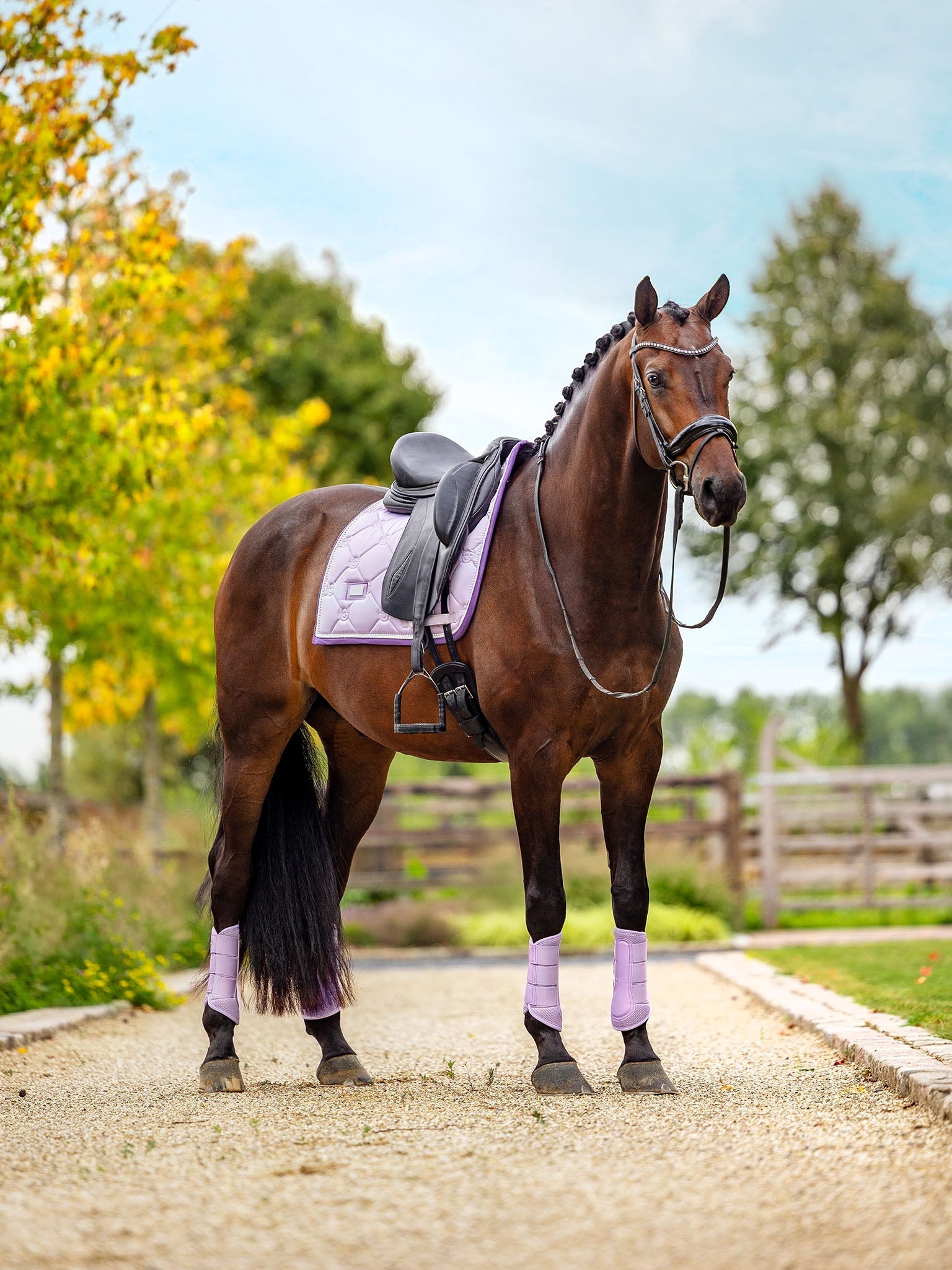 Equestrian Stockholm Dressage Saddle Pad - Lavender Pearl - Equestrian Stockholm - Equiluxe Tack