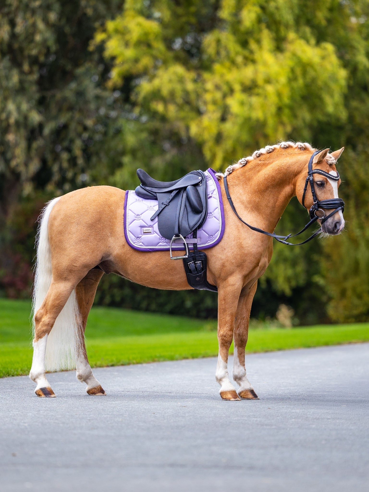 Equestrian Stockholm Dressage Saddle Pad - Lavender Pearl - Equestrian Stockholm - Equiluxe Tack