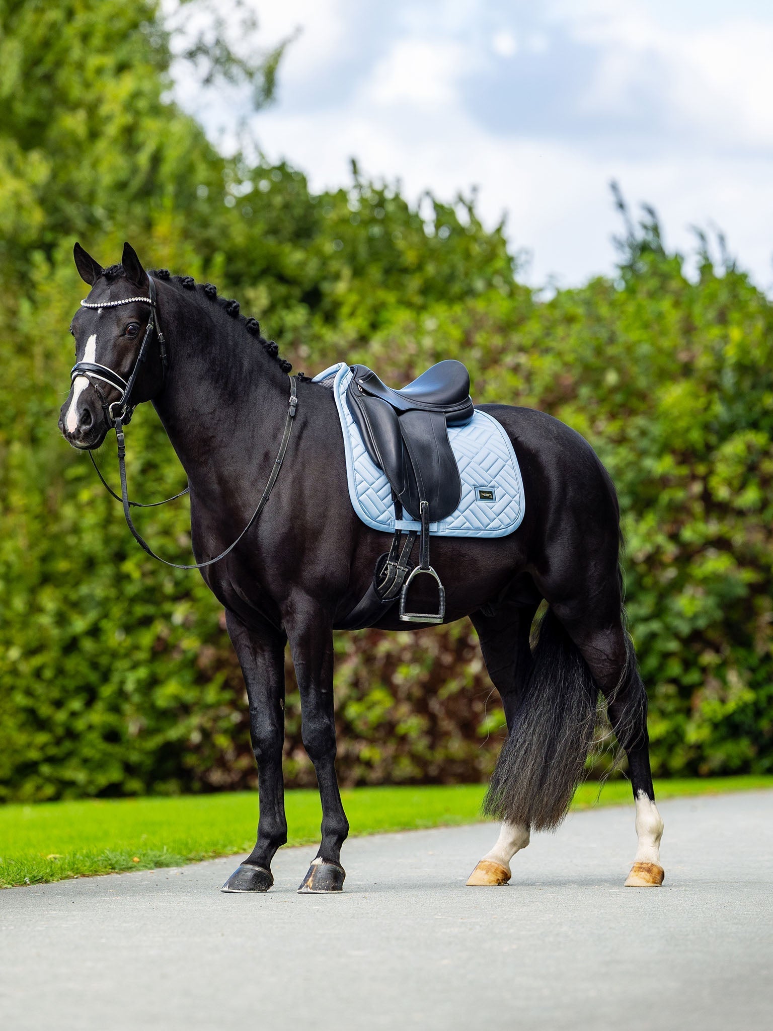 Equestrian Stockholm Dressage Saddle Pad Modern Midsummer Blue - Equestrian Stockholm - Equiluxe Tack