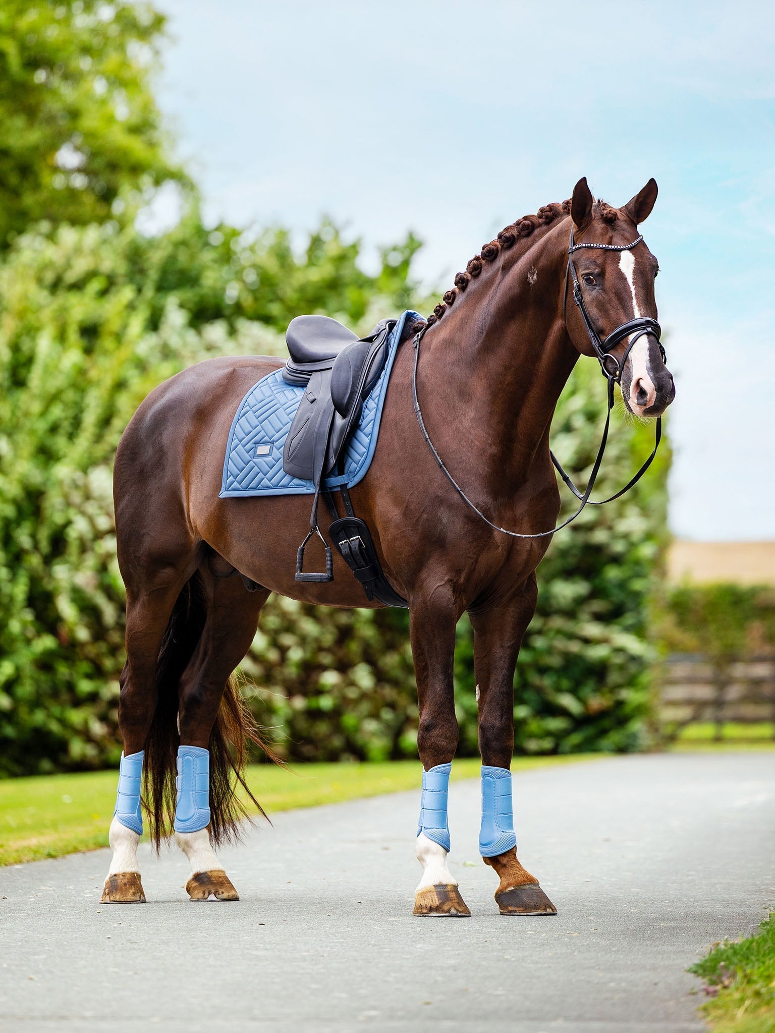 Equestrian Stockholm Dressage Saddle Pad Modern Midsummer Blue - Equestrian Stockholm - Equiluxe Tack