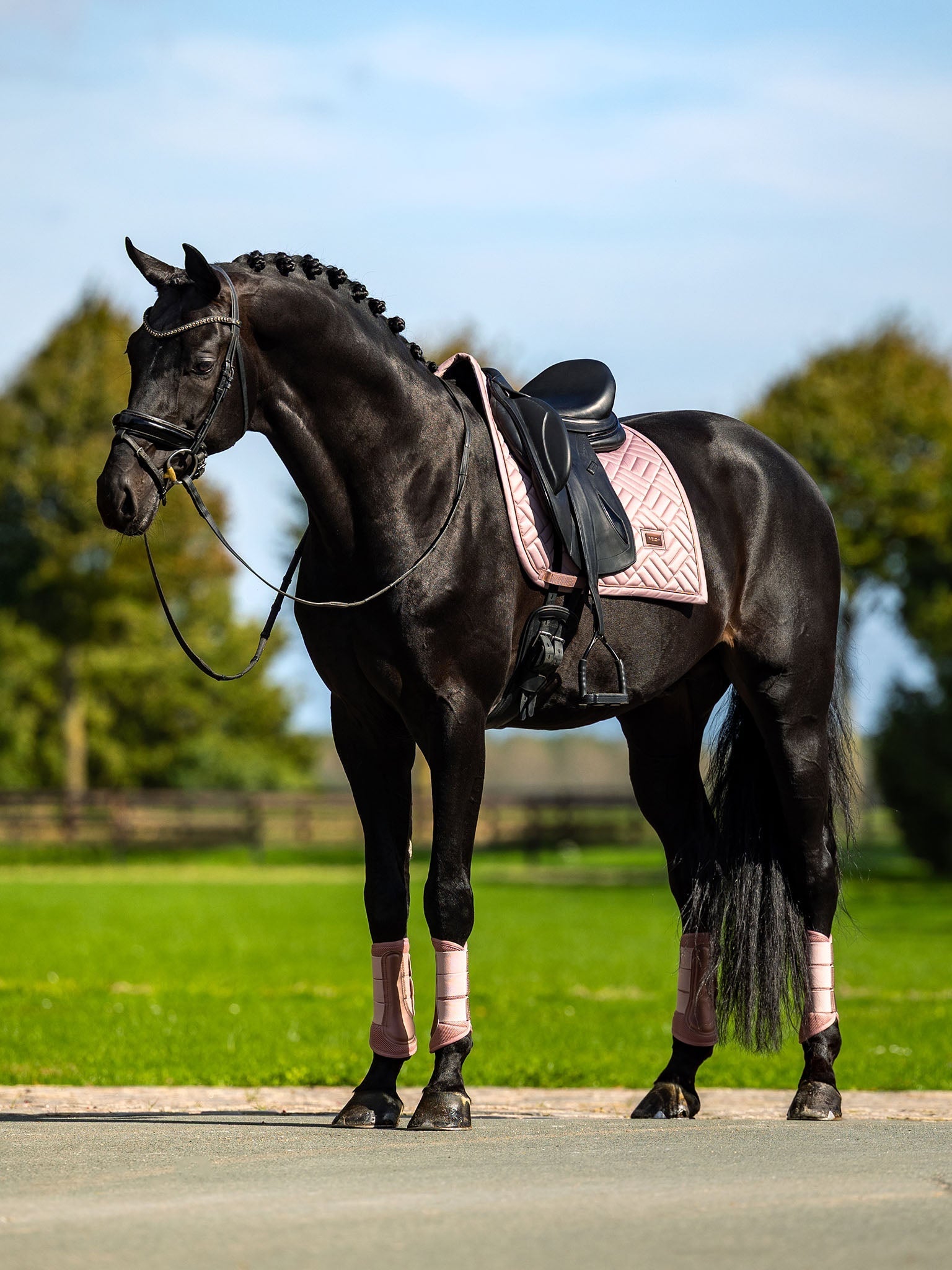 Equestrian Stockholm Dressage Saddle Pad Modern Midsummer Blush - Equestrian Stockholm - Equiluxe Tack