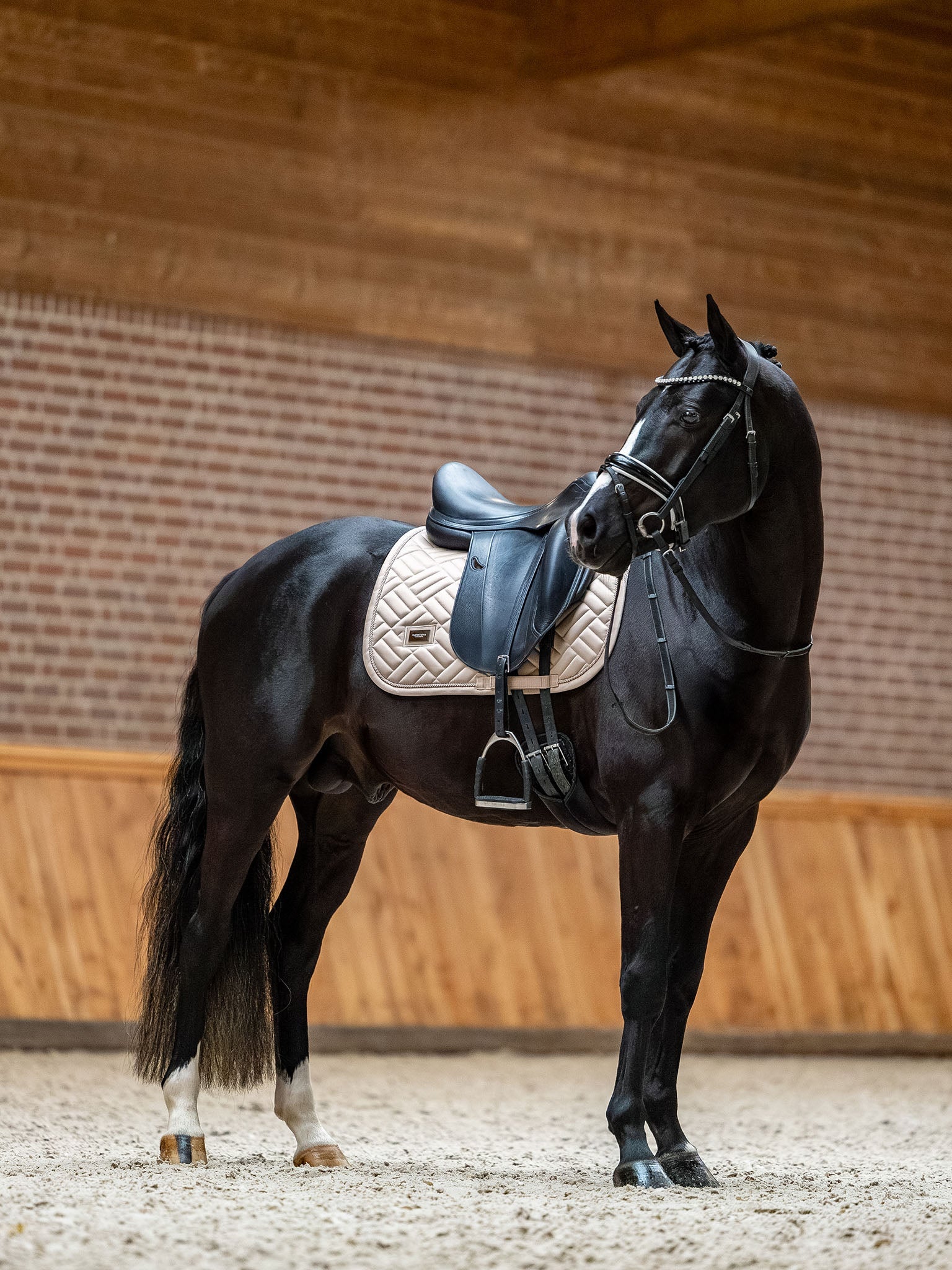 Equestrian Stockholm Dressage Saddle Pad Modern Sand - Equestrian Stockholm - Equiluxe Tack