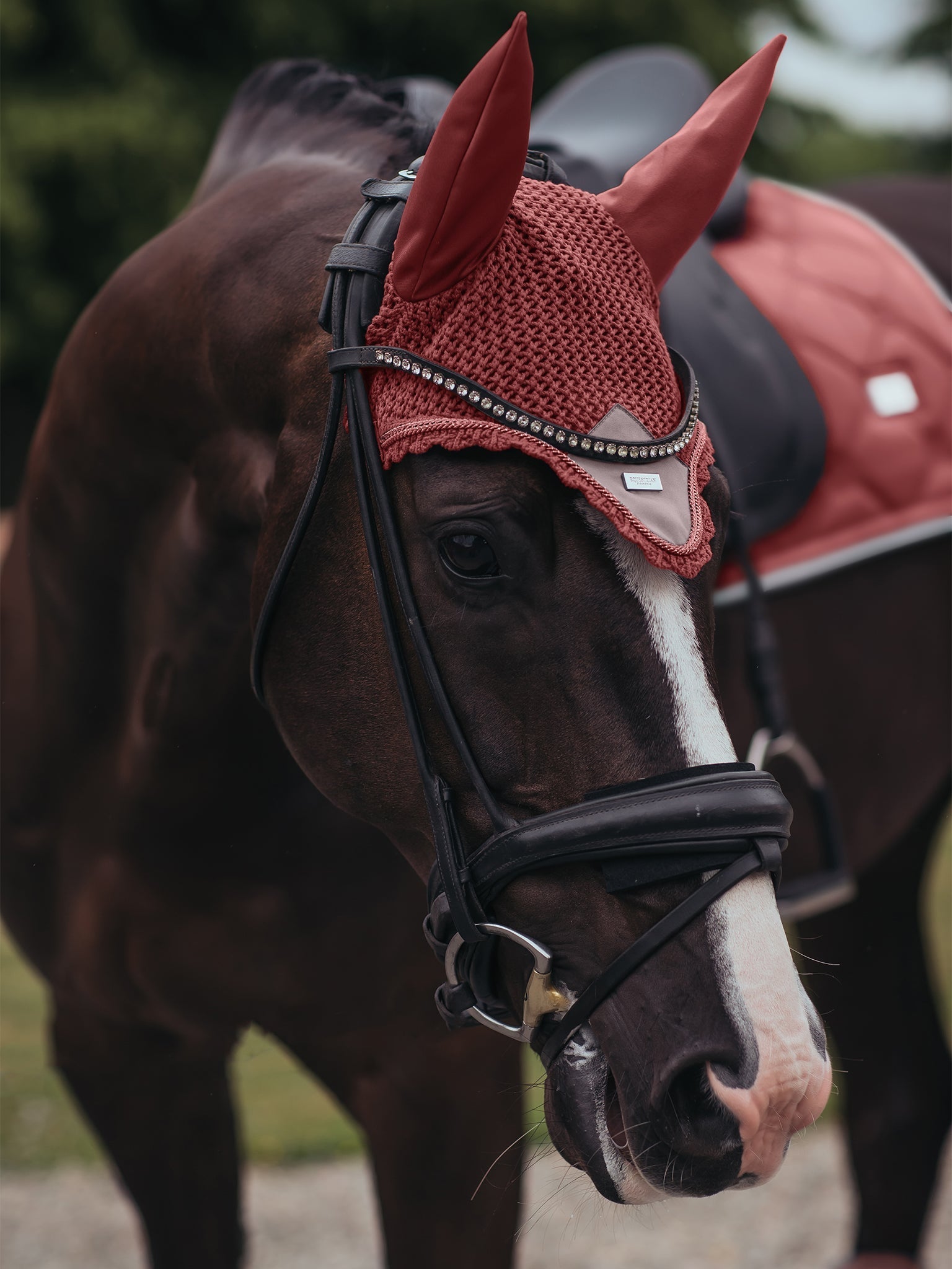 Equestrian Stockholm Ear Bonnet Amber Rose - Equestrian Stockholm - Equiluxe Tack