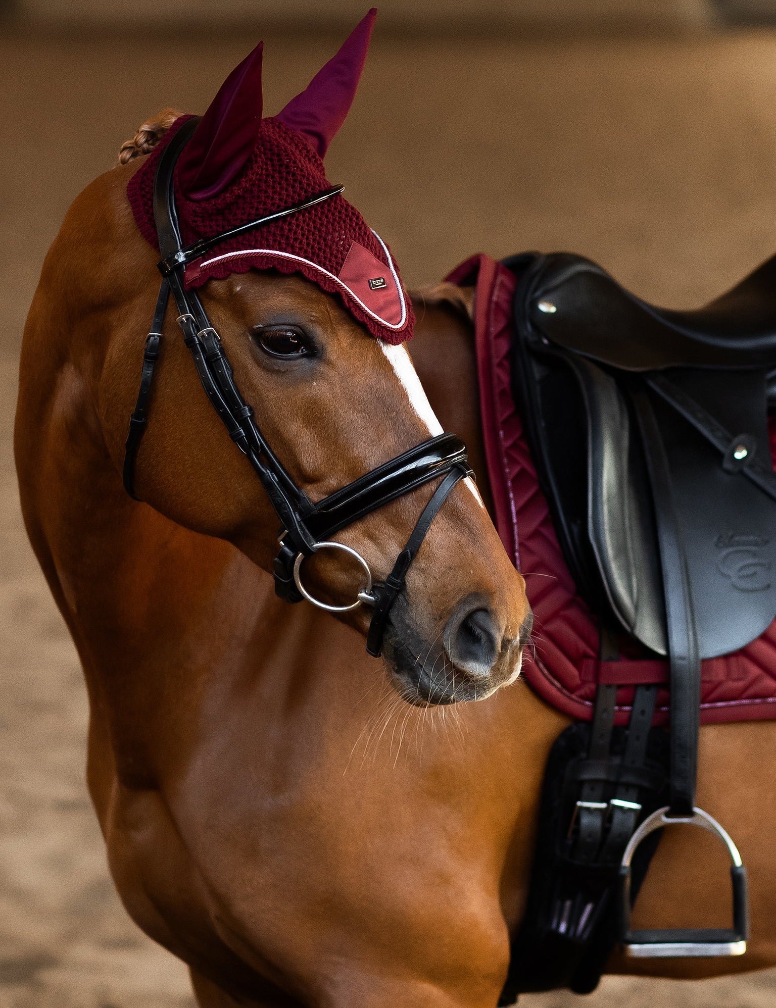 Equestrian Stockholm Ear Bonnet Bordeaux - Equestrian Stockholm - Equiluxe Tack