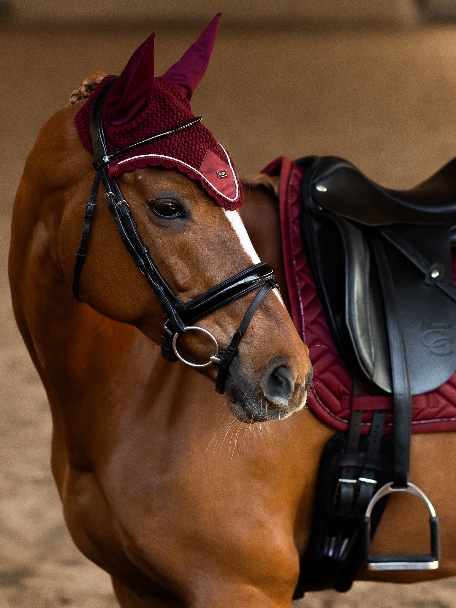 Equestrian Stockholm Ear Bonnet Bordeaux - Equestrian Stockholm - Equiluxe Tack