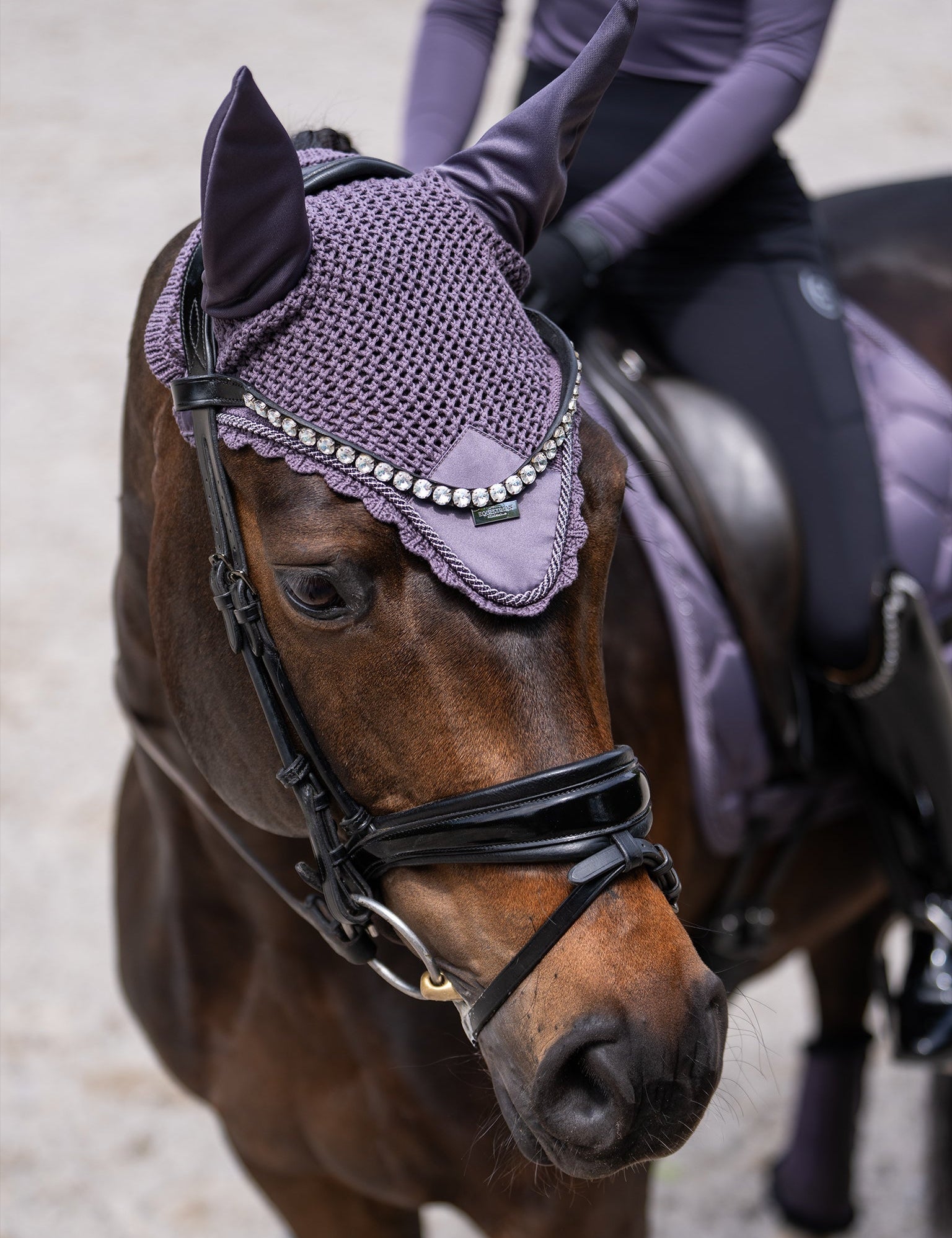 Equestrian Stockholm Ear Bonnet Dark Violet - Equestrian Stockholm - Equiluxe Tack
