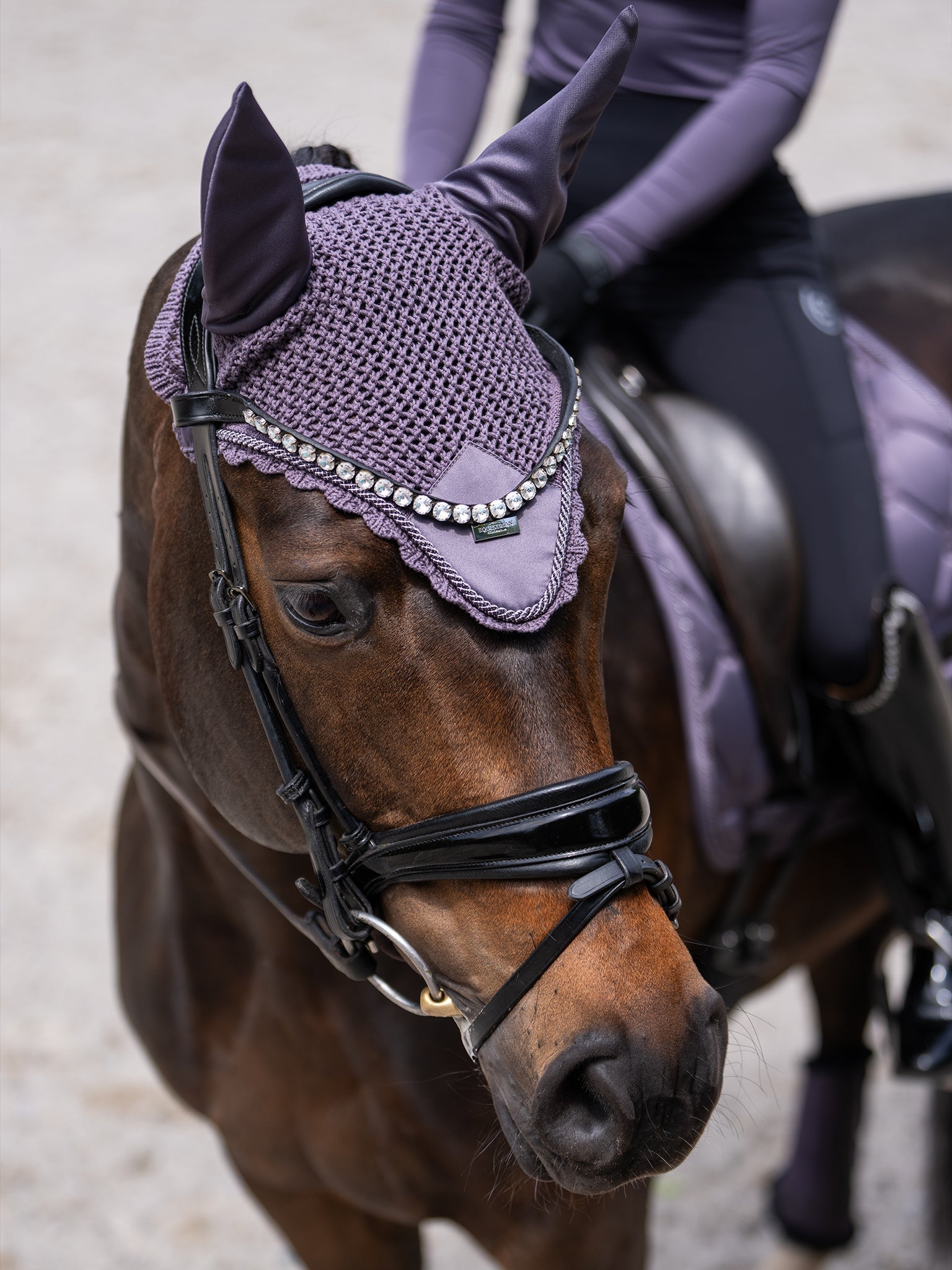 Equestrian Stockholm Ear Bonnet Dark Violet - Equestrian Stockholm - Equiluxe Tack