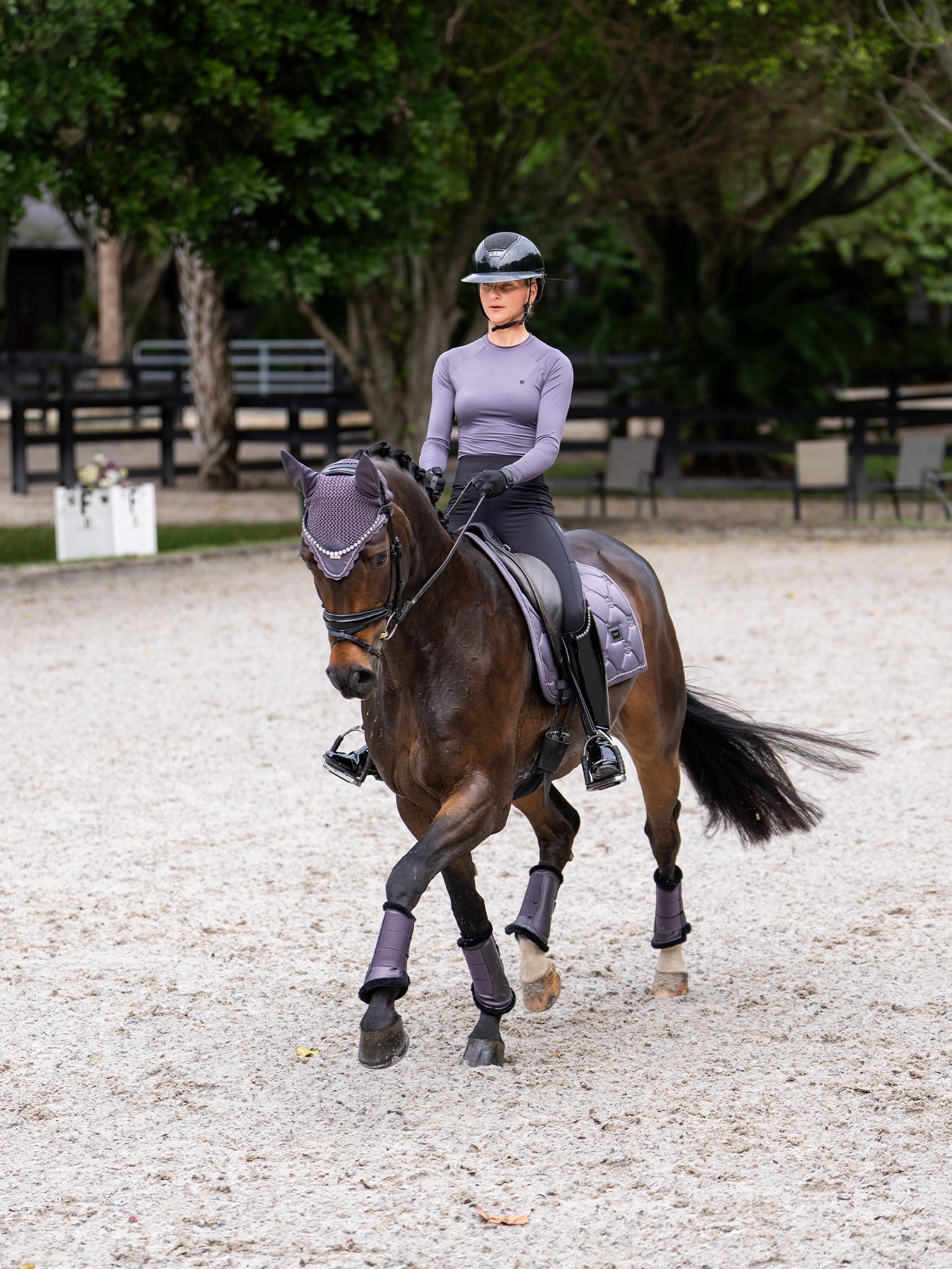 Equestrian Stockholm Ear Bonnet Dark Violet - Equestrian Stockholm - Equiluxe Tack
