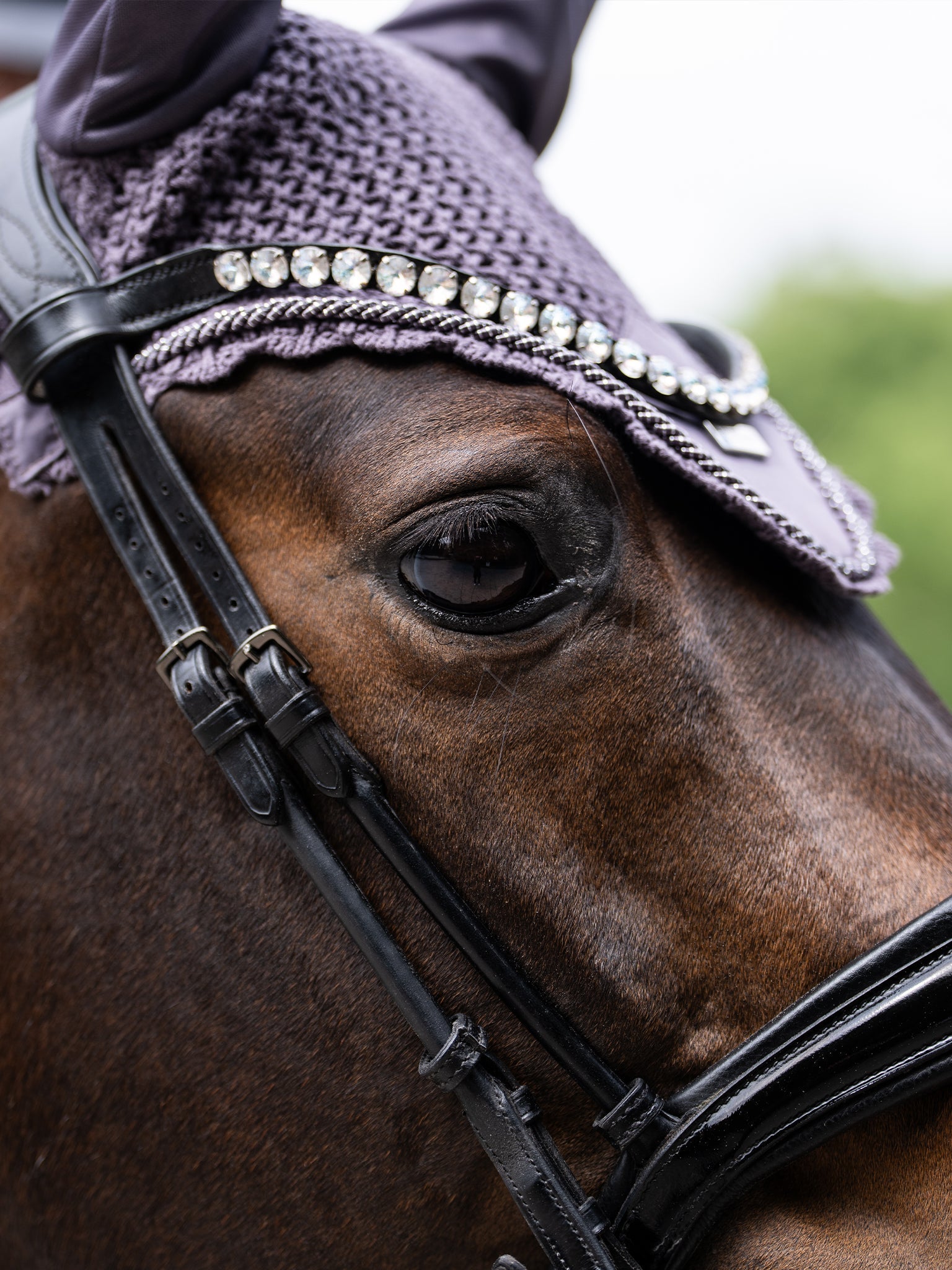 Equestrian Stockholm Ear Bonnet Dark Violet - Equestrian Stockholm - Equiluxe Tack