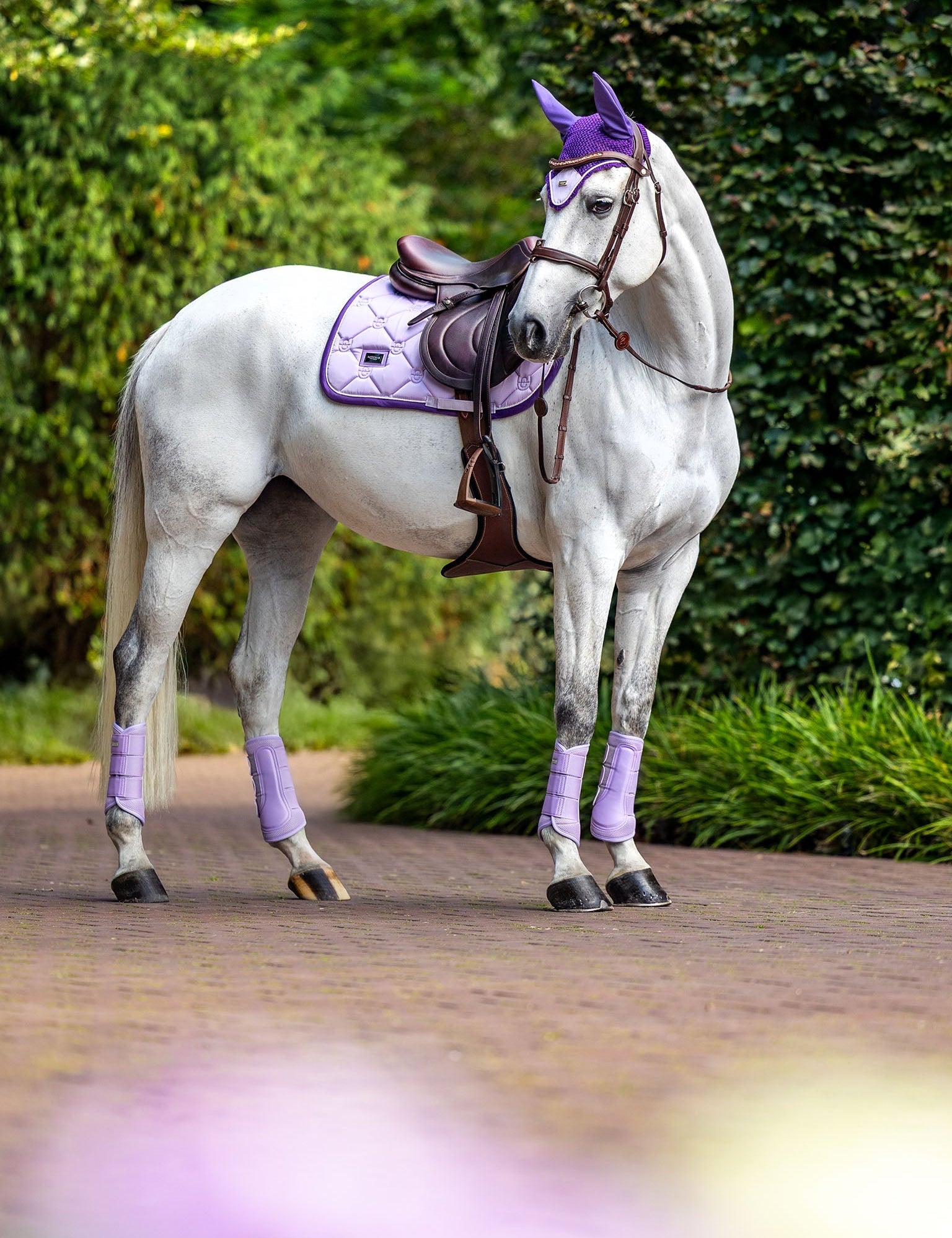 Equestrian Stockholm Ear Bonnet - Lavender - Equestrian Stockholm - Equiluxe Tack