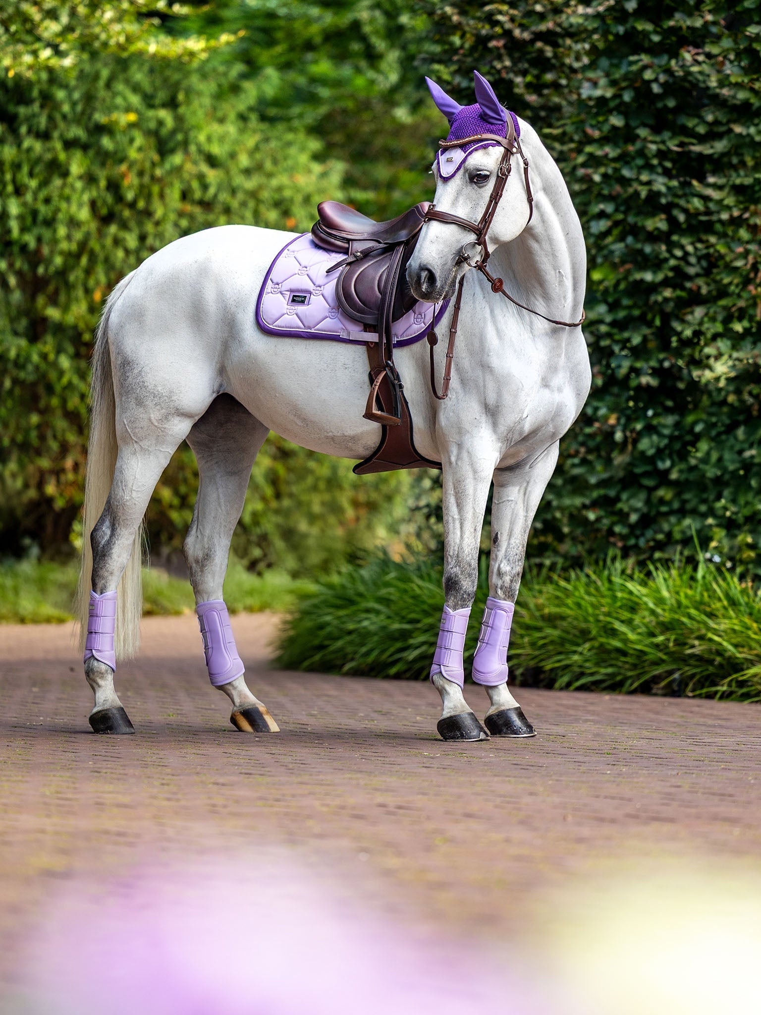 Equestrian Stockholm Ear Bonnet - Lavender - Equestrian Stockholm - Equiluxe Tack