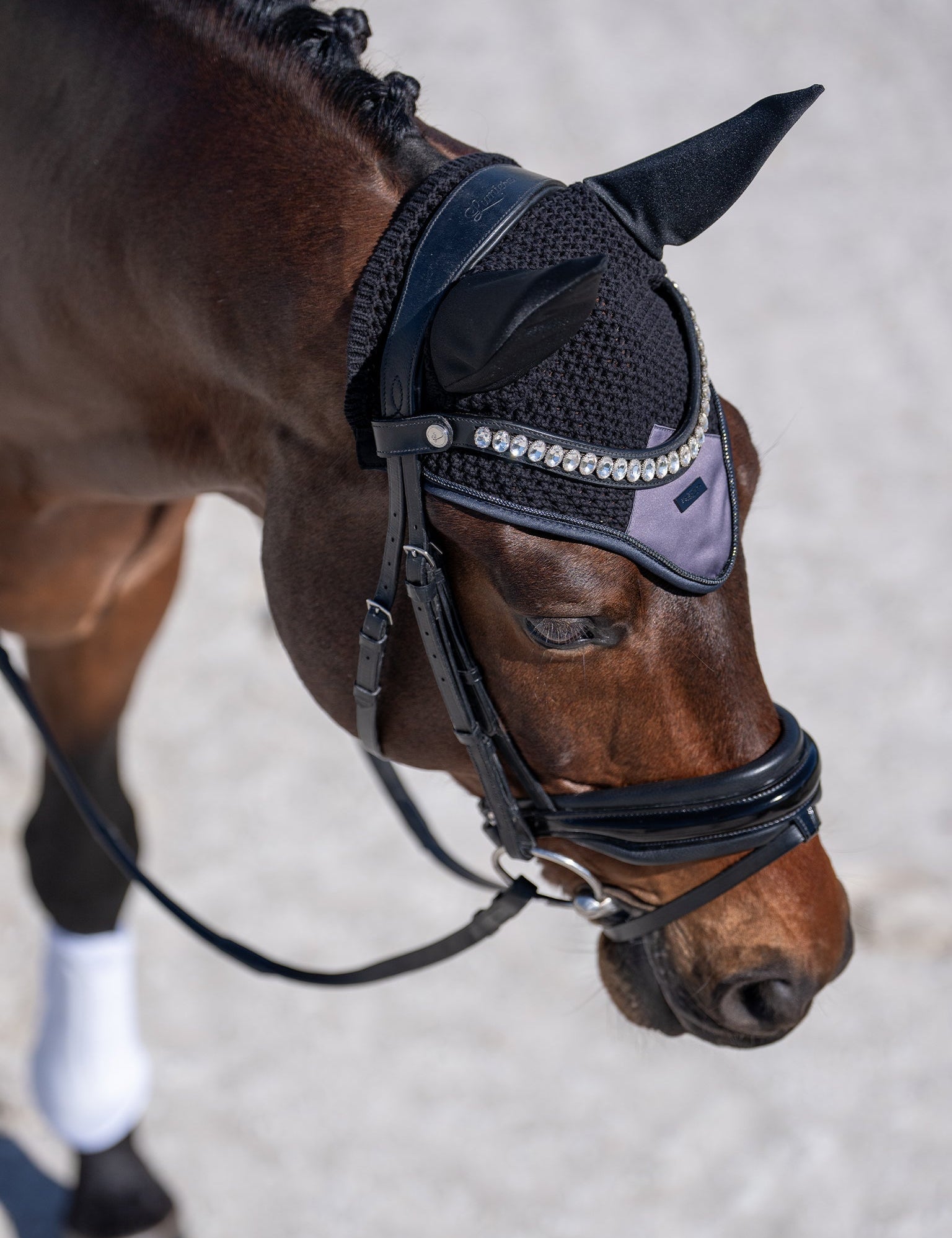 Equestrian Stockholm Ear Bonnet Modern Dark Violet - Equestrian Stockholm - Equiluxe Tack