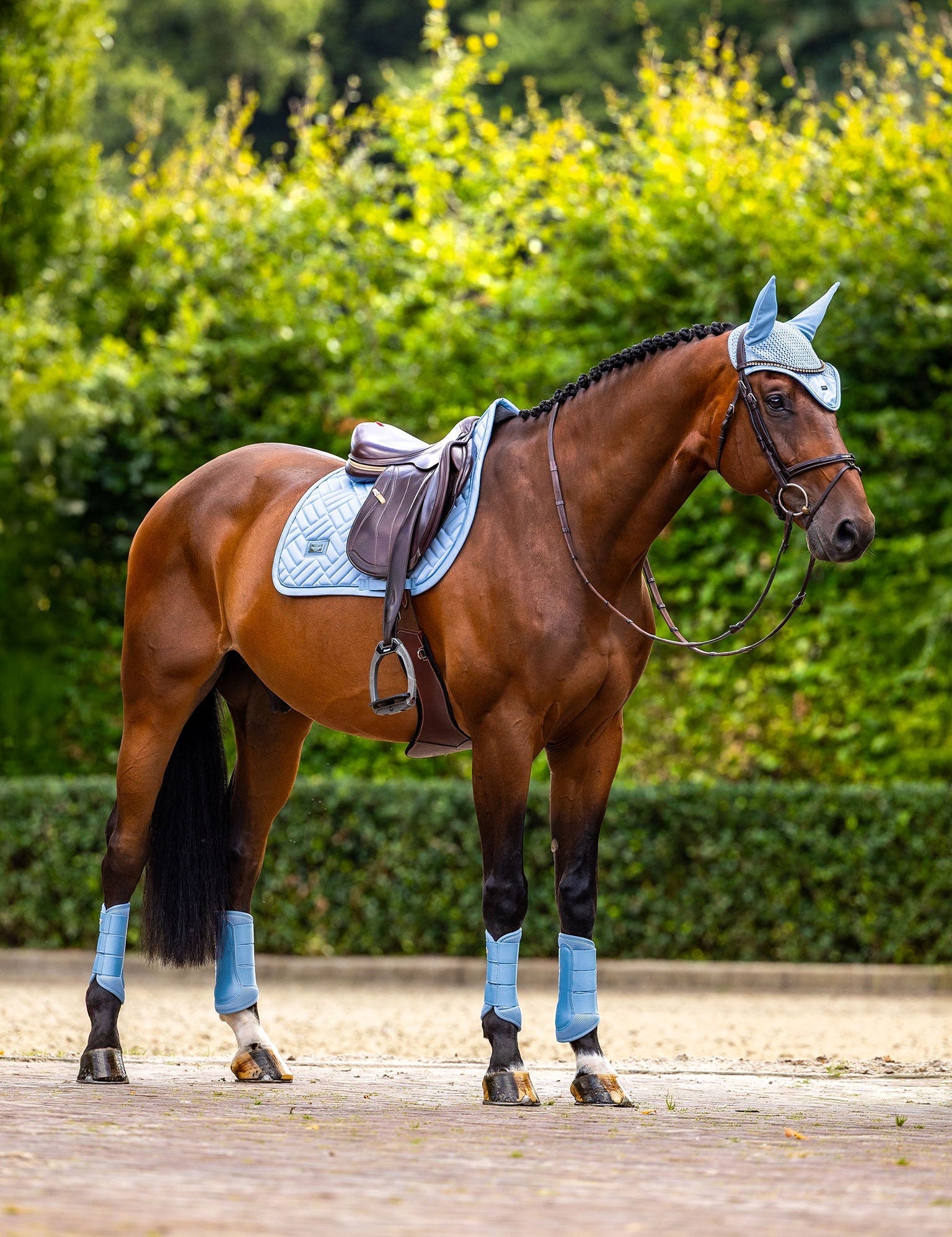 Equestrian Stockholm Ear Bonnet Modern Midsummer Blue - Equestrian Stockholm - Equiluxe Tack