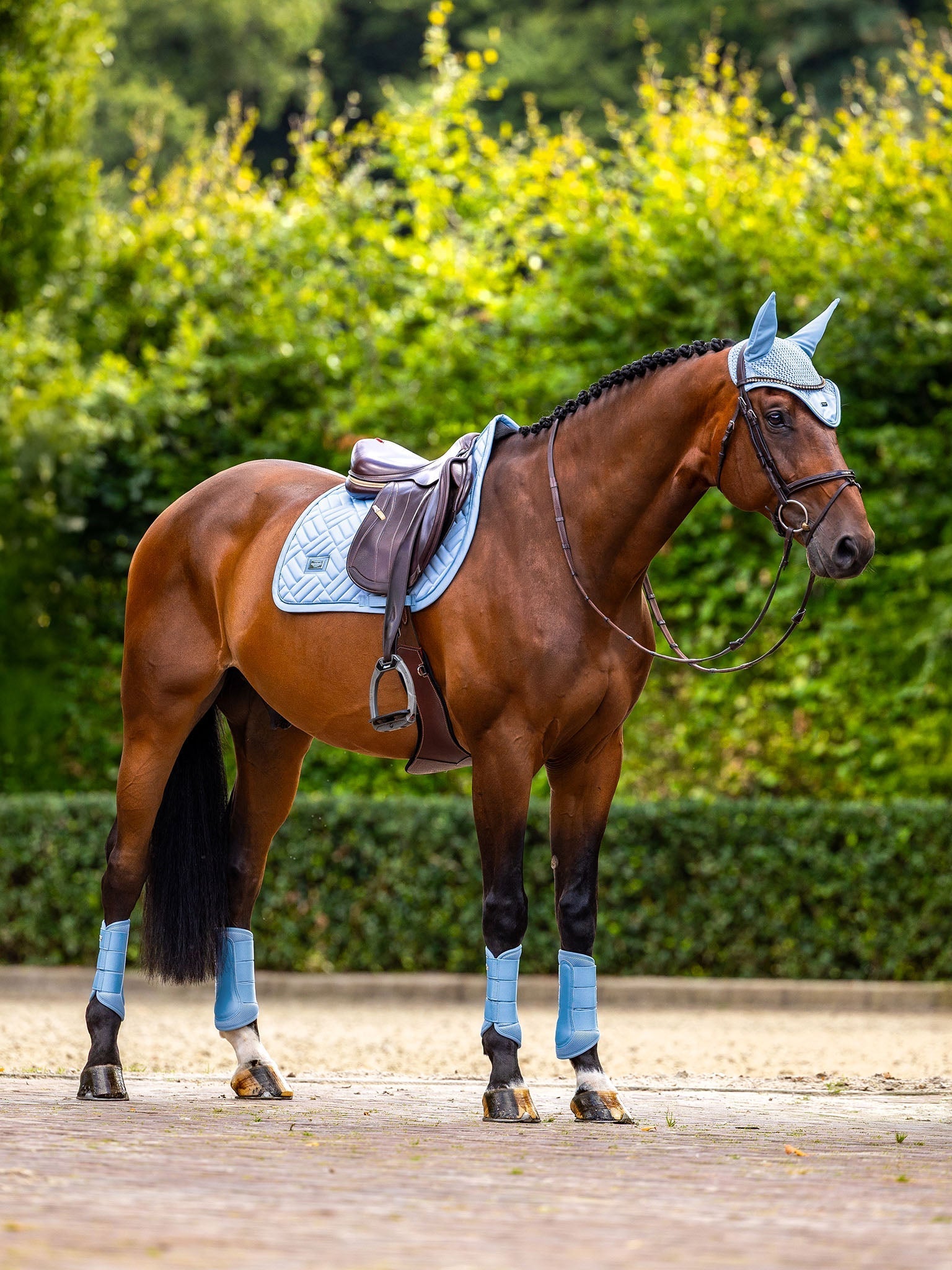Equestrian Stockholm Ear Bonnet Modern Midsummer Blue - Equestrian Stockholm - Equiluxe Tack