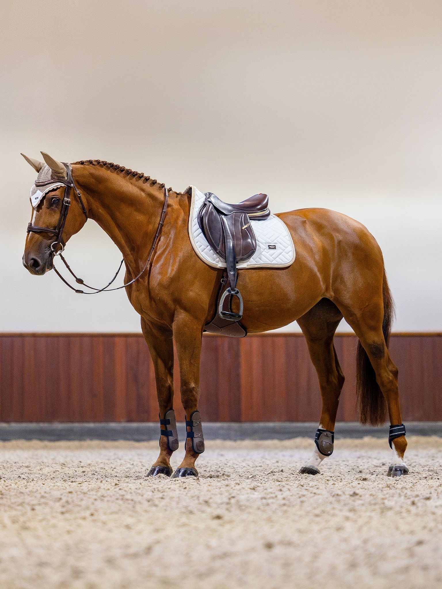 Equestrian Stockholm Ear Bonnet Sand - Equestrian Stockholm - Equiluxe Tack