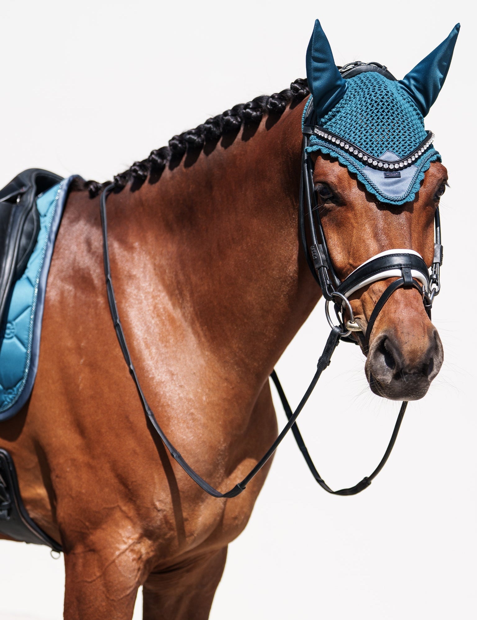 Equestrian Stockholm Ear Bonnet Teal Blue - Equestrian Stockholm - Equiluxe Tack