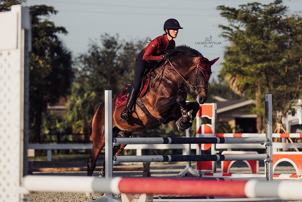 Equestrian Stockholm Jump Saddle Pad Bordeaux - Equestrian Stockholm - Equiluxe Tack