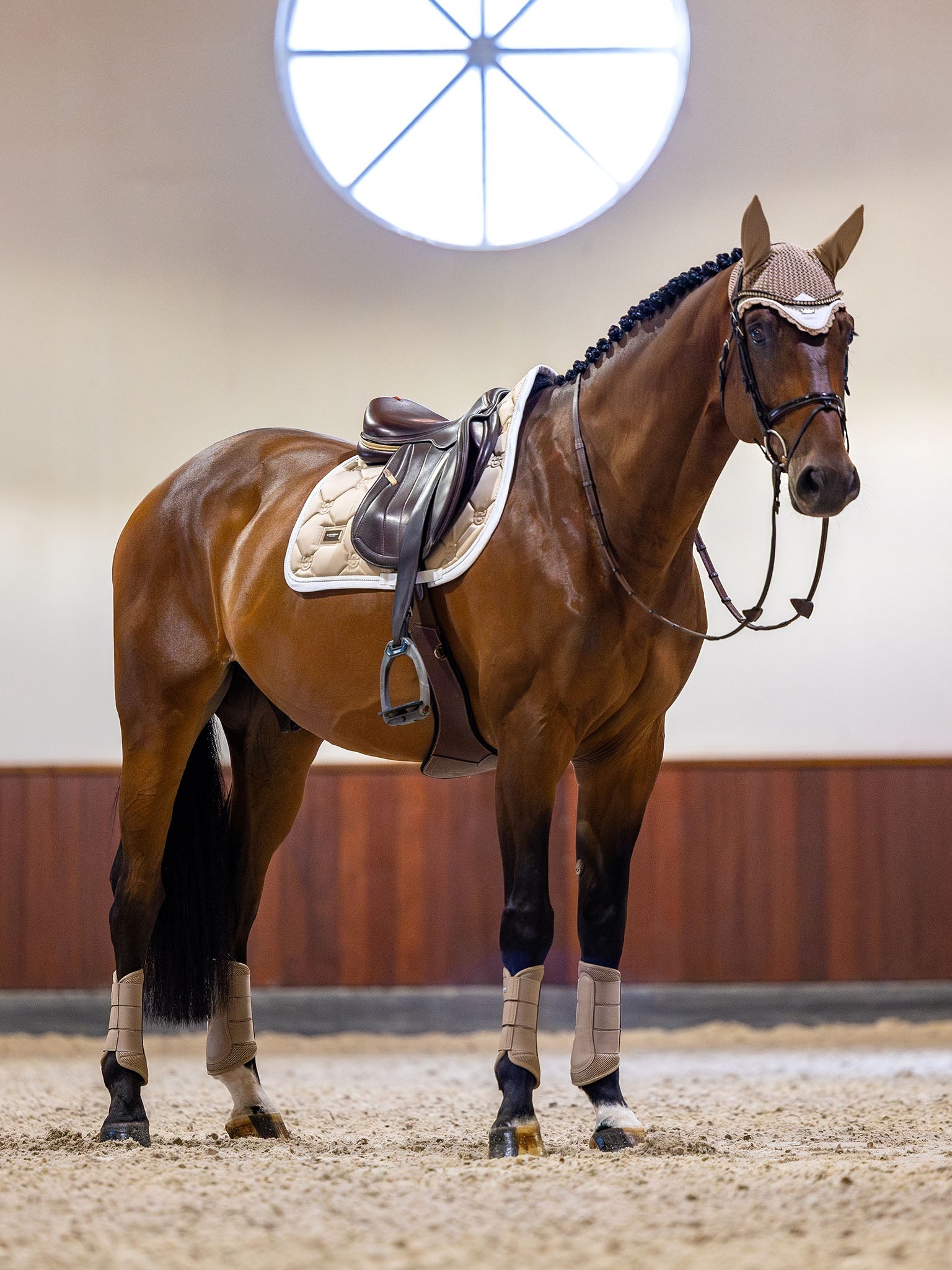 Equestrian Stockholm Jump Saddle Pad Sand - Equestrian Stockholm - Equiluxe Tack