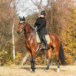 Equestroom Astris Brushing Boots - Equestroom - Equiluxe Tack