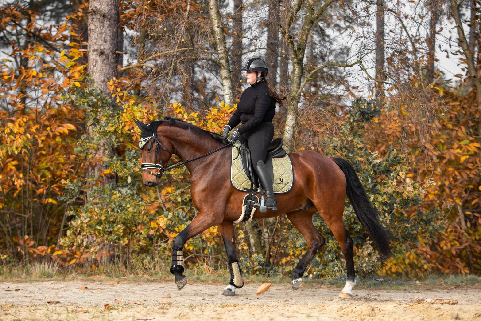 Equestroom Astris Brushing Boots - Equestroom - Equiluxe Tack