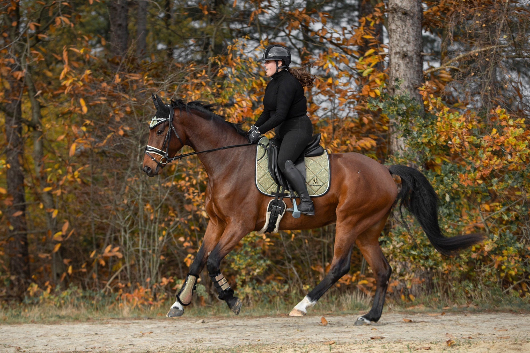 Equestroom Astris Brushing Boots - Equestroom - Equiluxe Tack