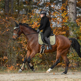 Equestroom Astris Brushing Boots - Equestroom - Equiluxe Tack