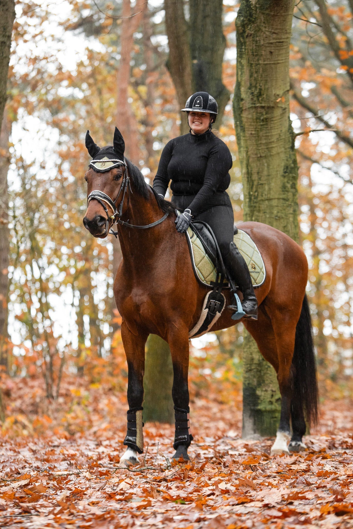 Equestroom Astris Saddle Pad Set - Equestroom - Equiluxe Tack