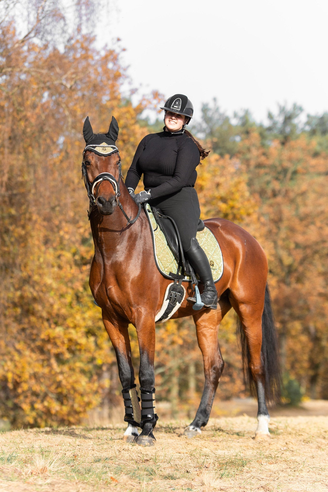 Equestroom Astris Saddle Pad Set - Equestroom - Equiluxe Tack