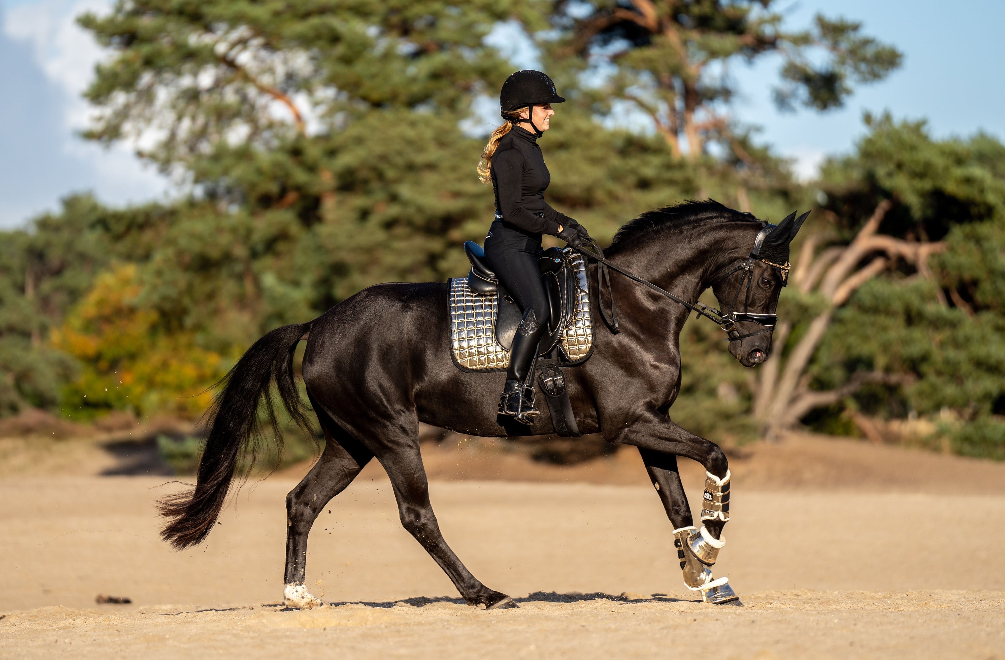 Equestroom Aurum Saddle Pad - Equestroom - Equiluxe Tack