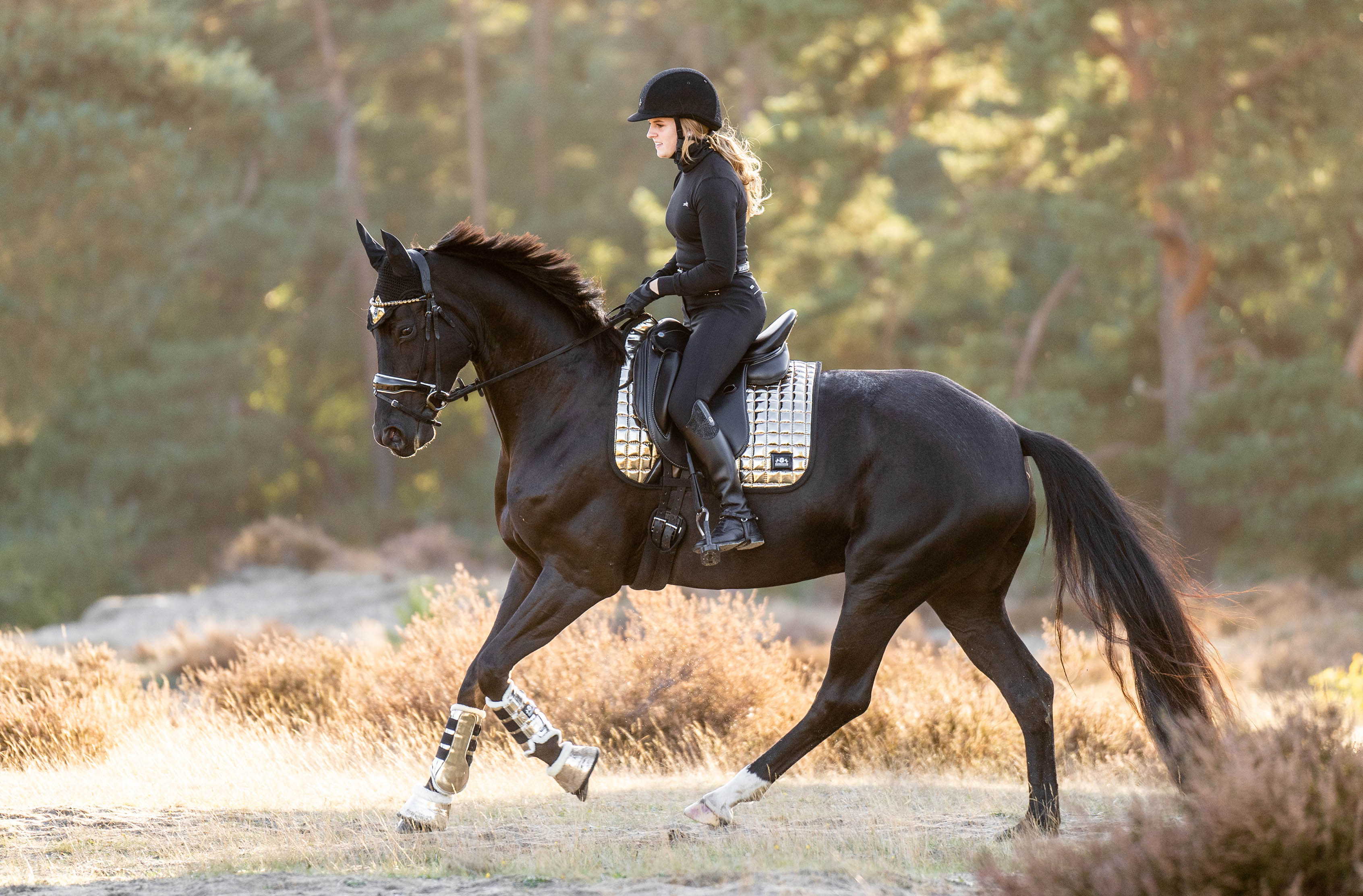 Equestroom Aurum Saddle Pad - Equestroom - Equiluxe Tack