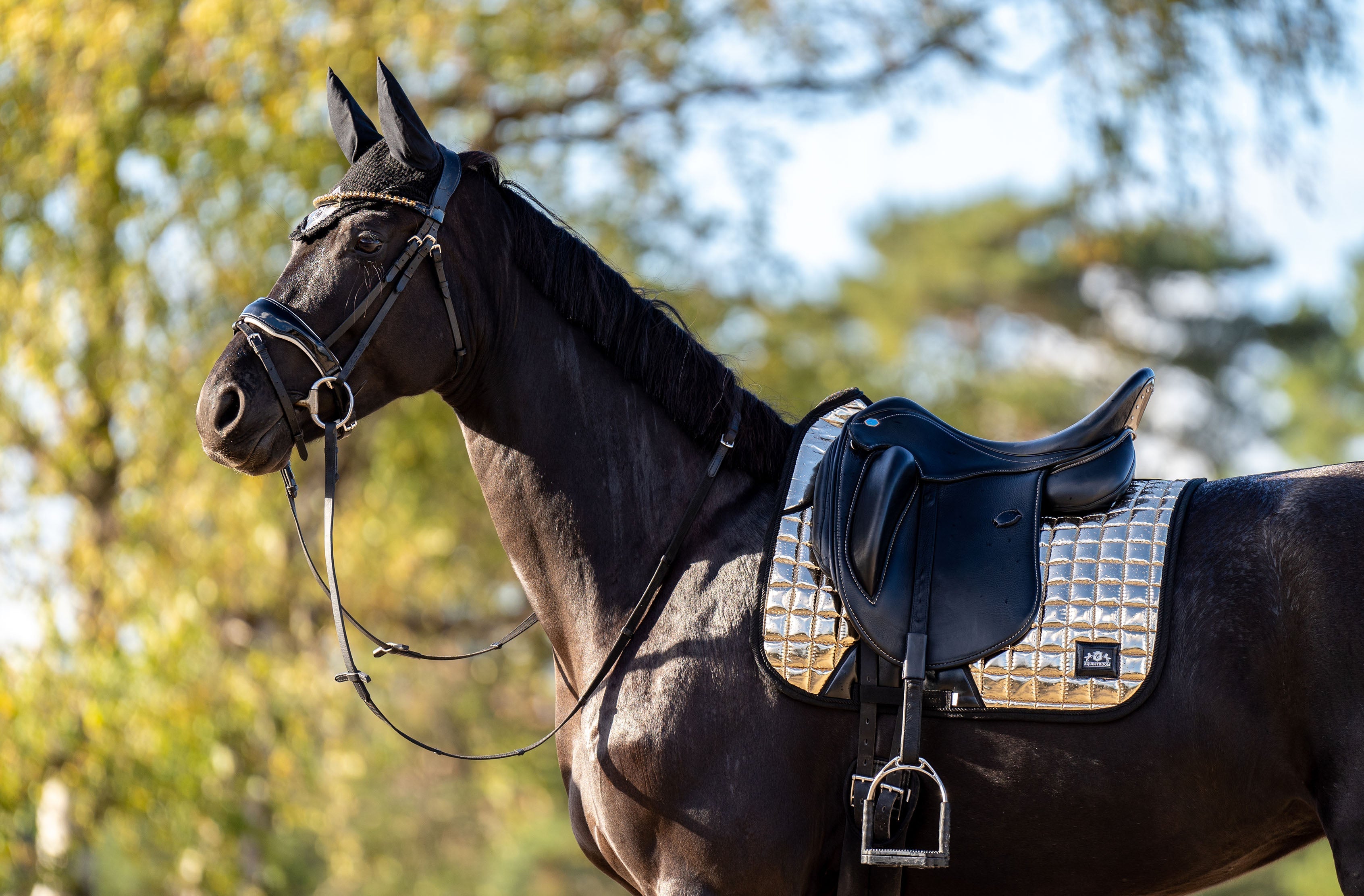 Equestroom Aurum Saddle Pad - Equestroom - Equiluxe Tack