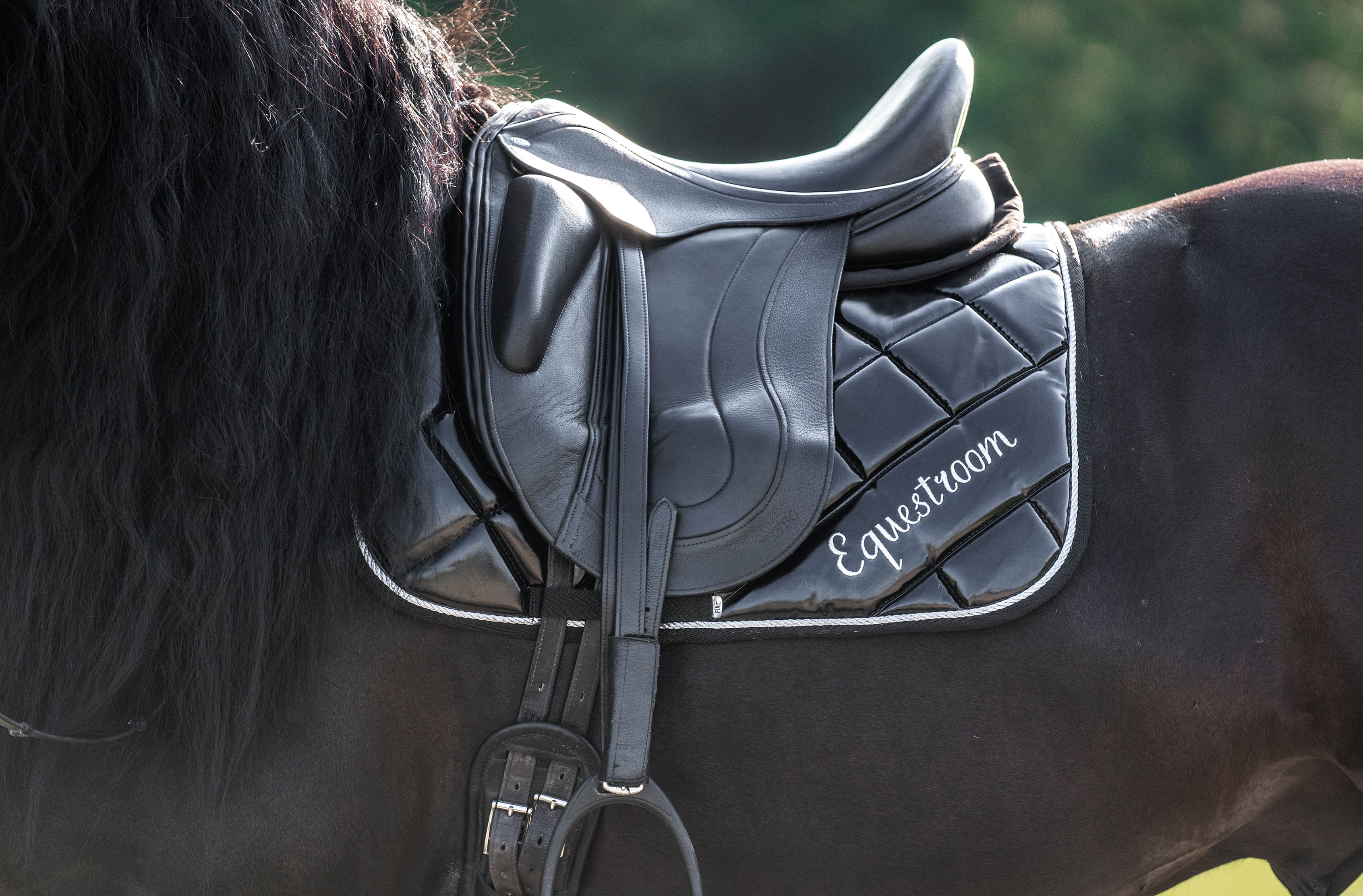 Equestroom Black Ink Saddle Pad (Limited Edition) - Equestroom - Equiluxe Tack