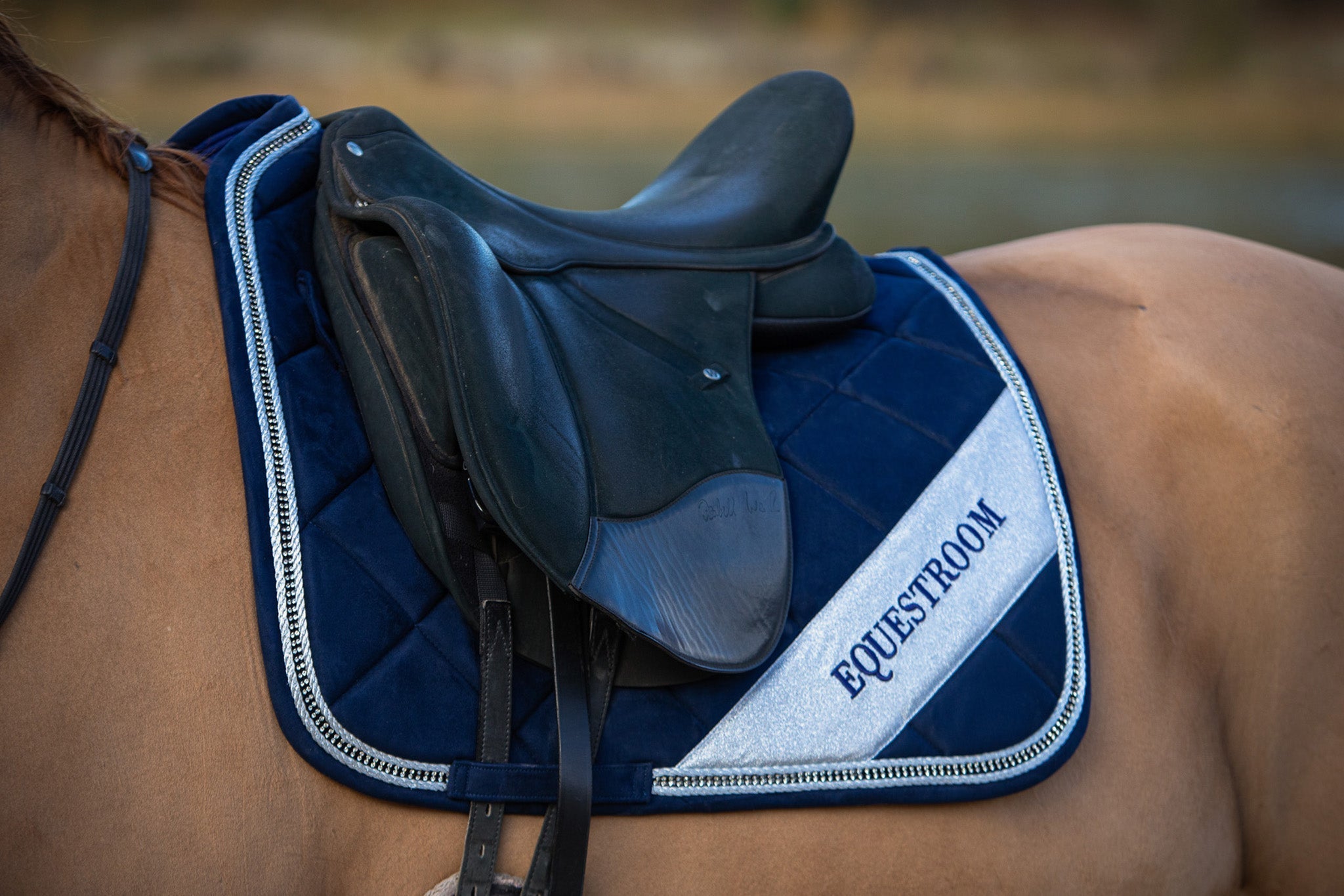 Equestroom Blue Astra Saddle Pad - Equestroom - Equiluxe Tack